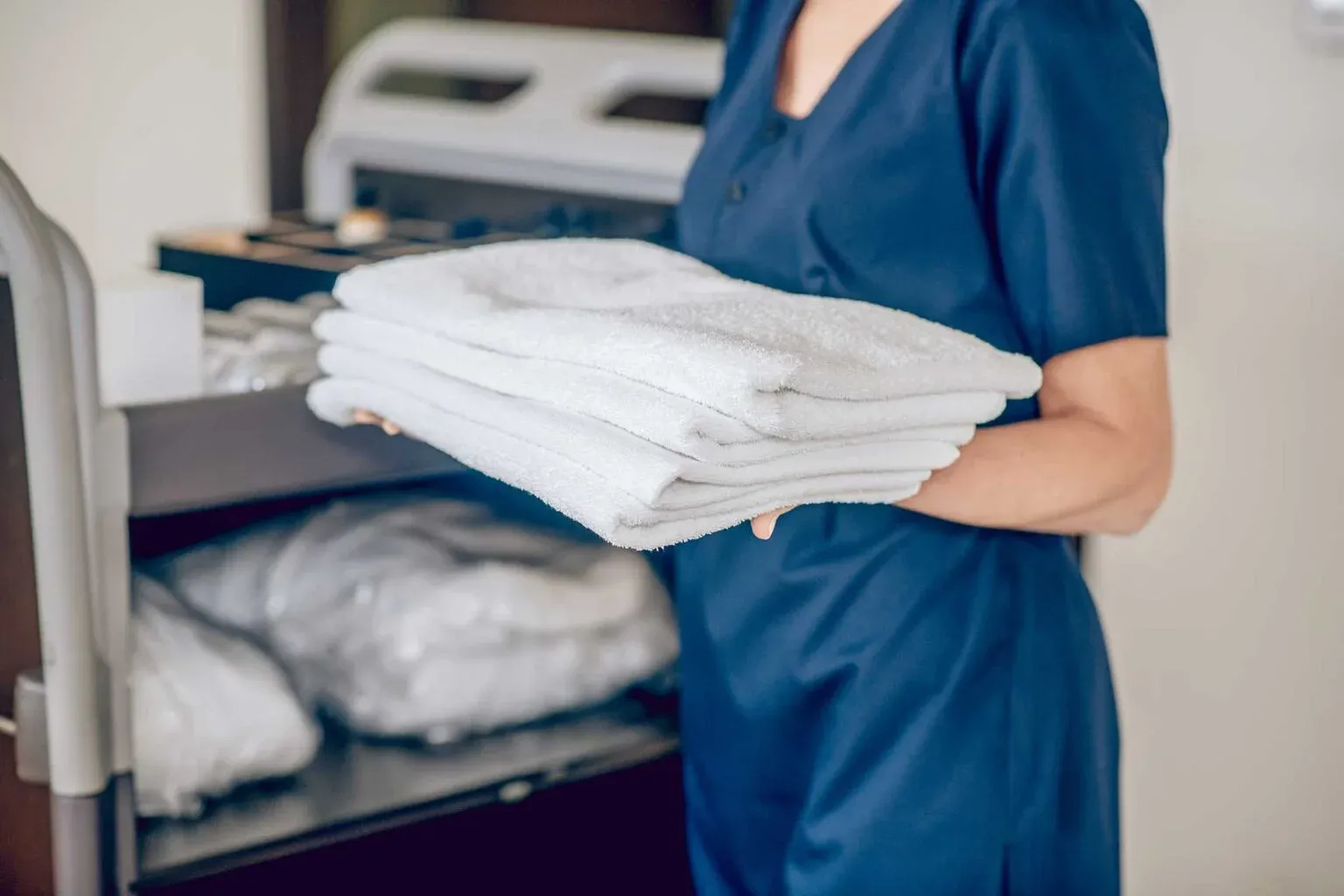 Professional Bed and Bath Cleaning service
